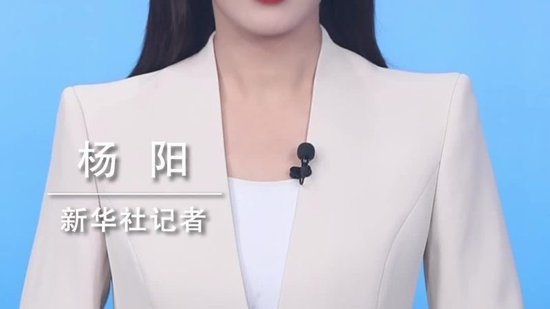 数据可视化新篇章：揭秘北京动态图表开发的技术奥秘